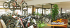 1. Bike Testival Tag in Dissen